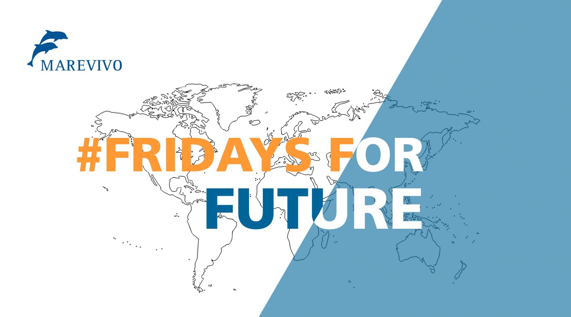 fridayforfuture