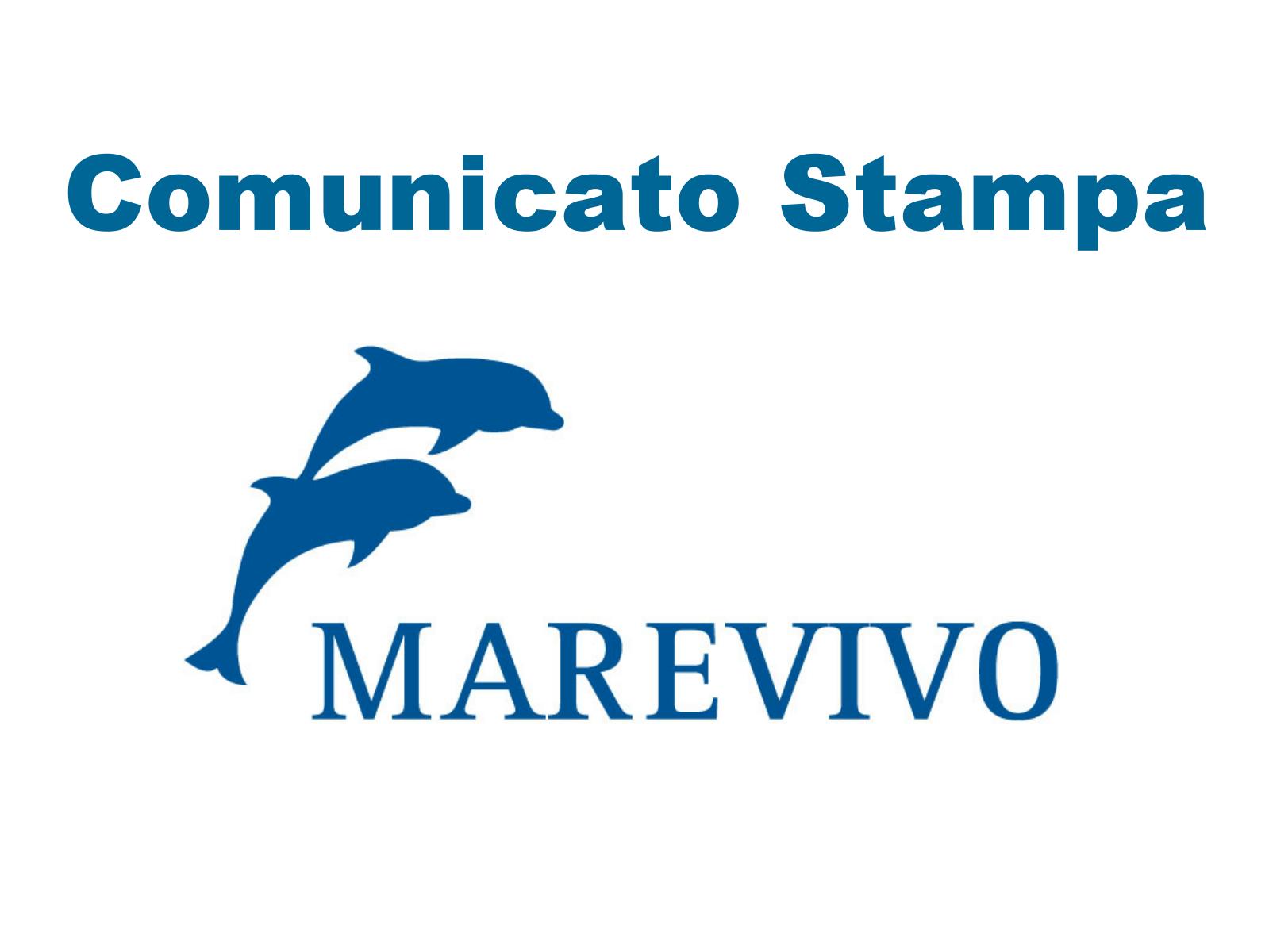 csMarevivo